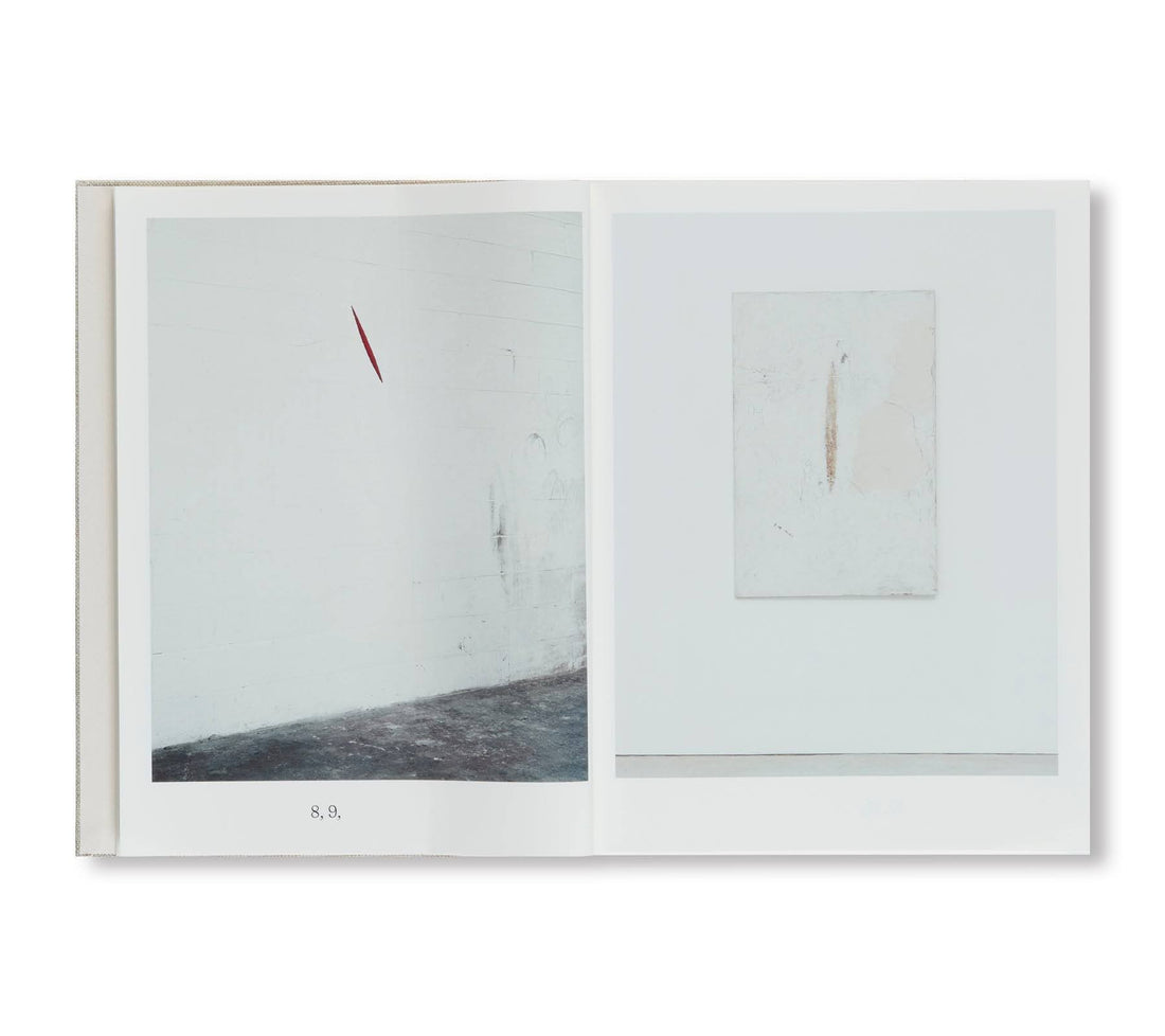 Anish Kapoor: Painting