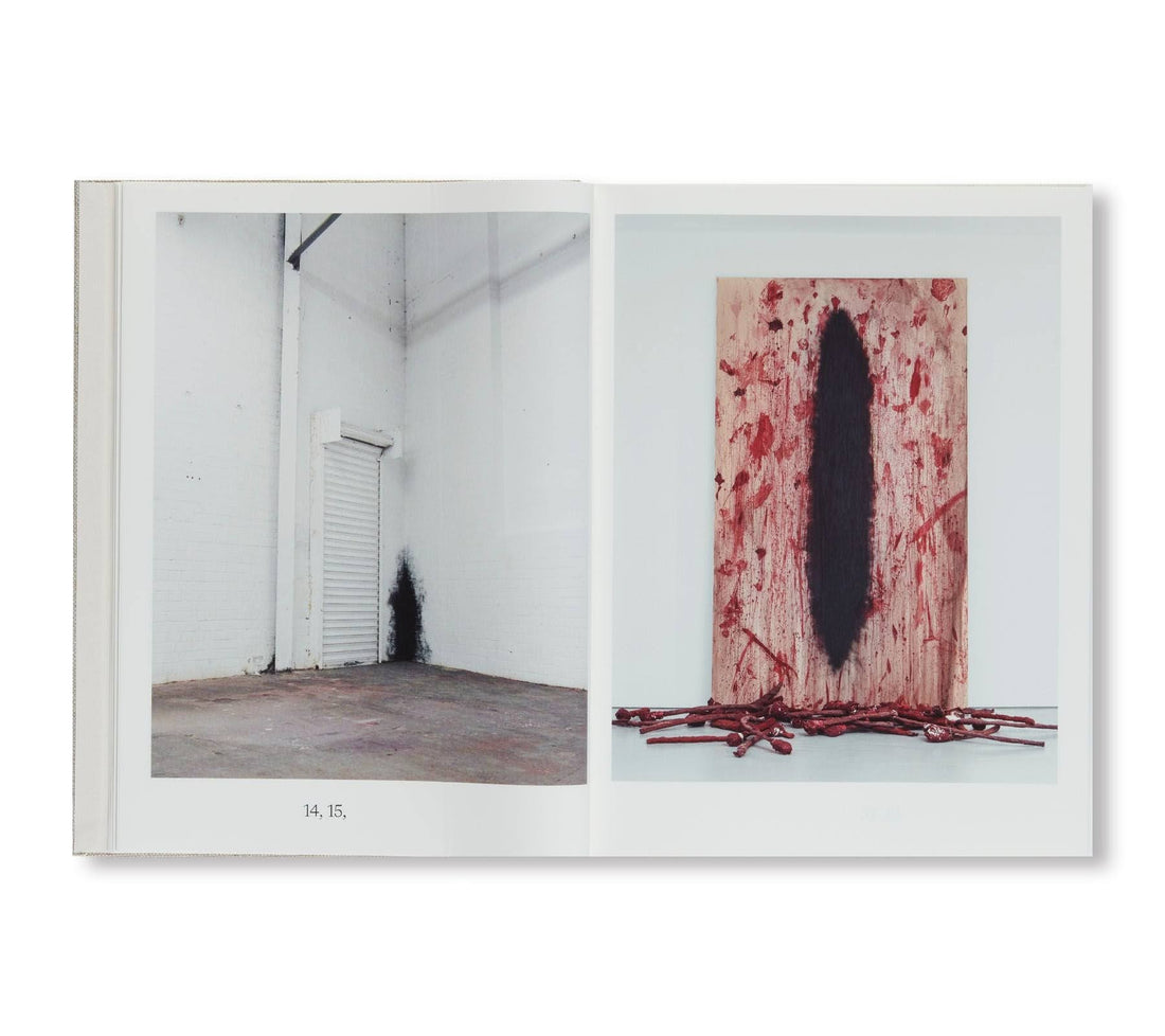 Anish Kapoor: Painting