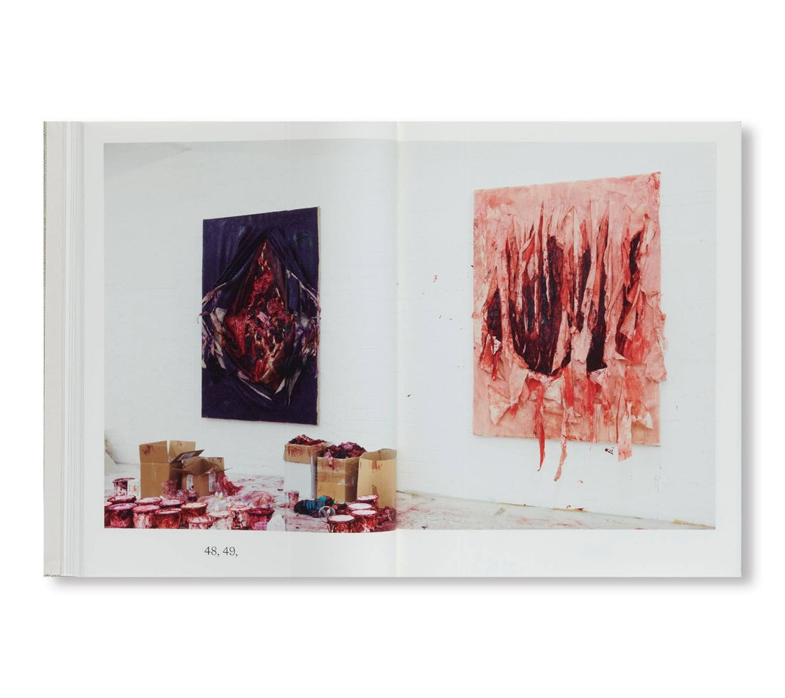 Anish Kapoor: Painting