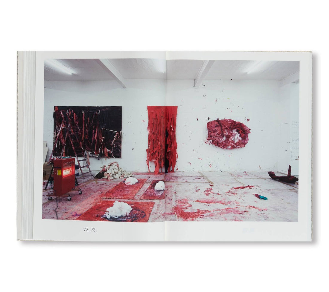 Anish Kapoor: Painting