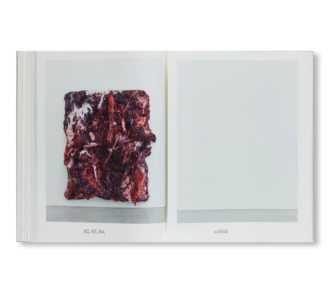 Anish Kapoor: Painting