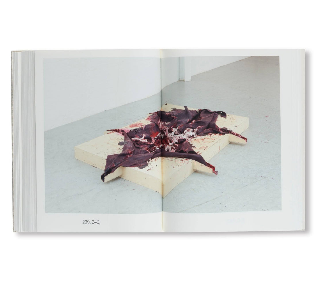 Anish Kapoor: Painting