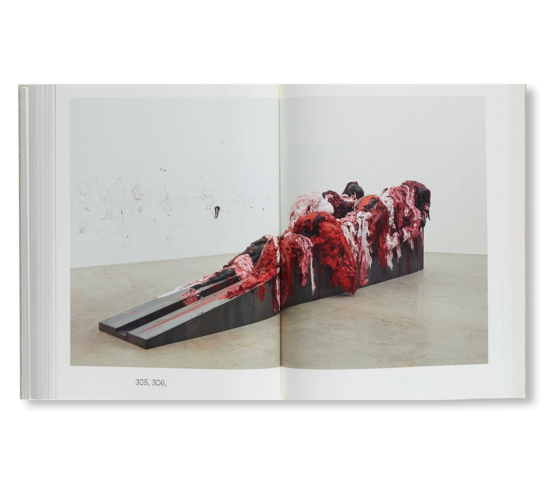 Anish Kapoor: Painting