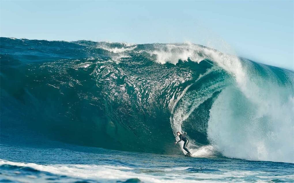 Surf Life : Women Who Live to Surf and Create