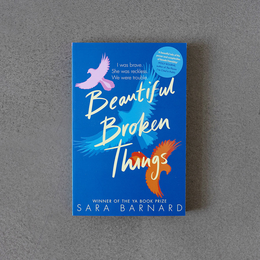 Beautiful Broken Things – Sara Barnard