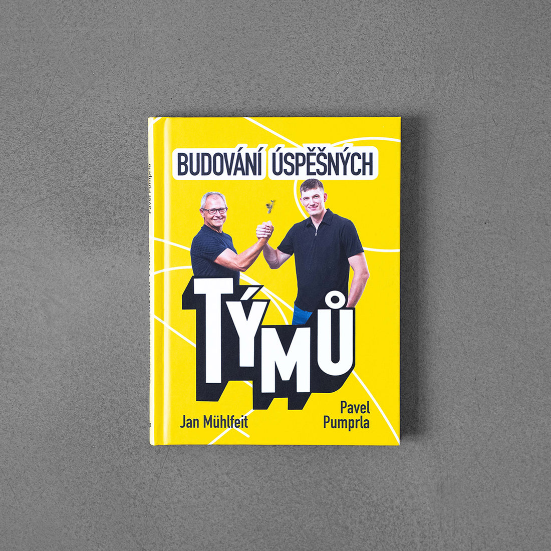 Budování úspěšných týmů