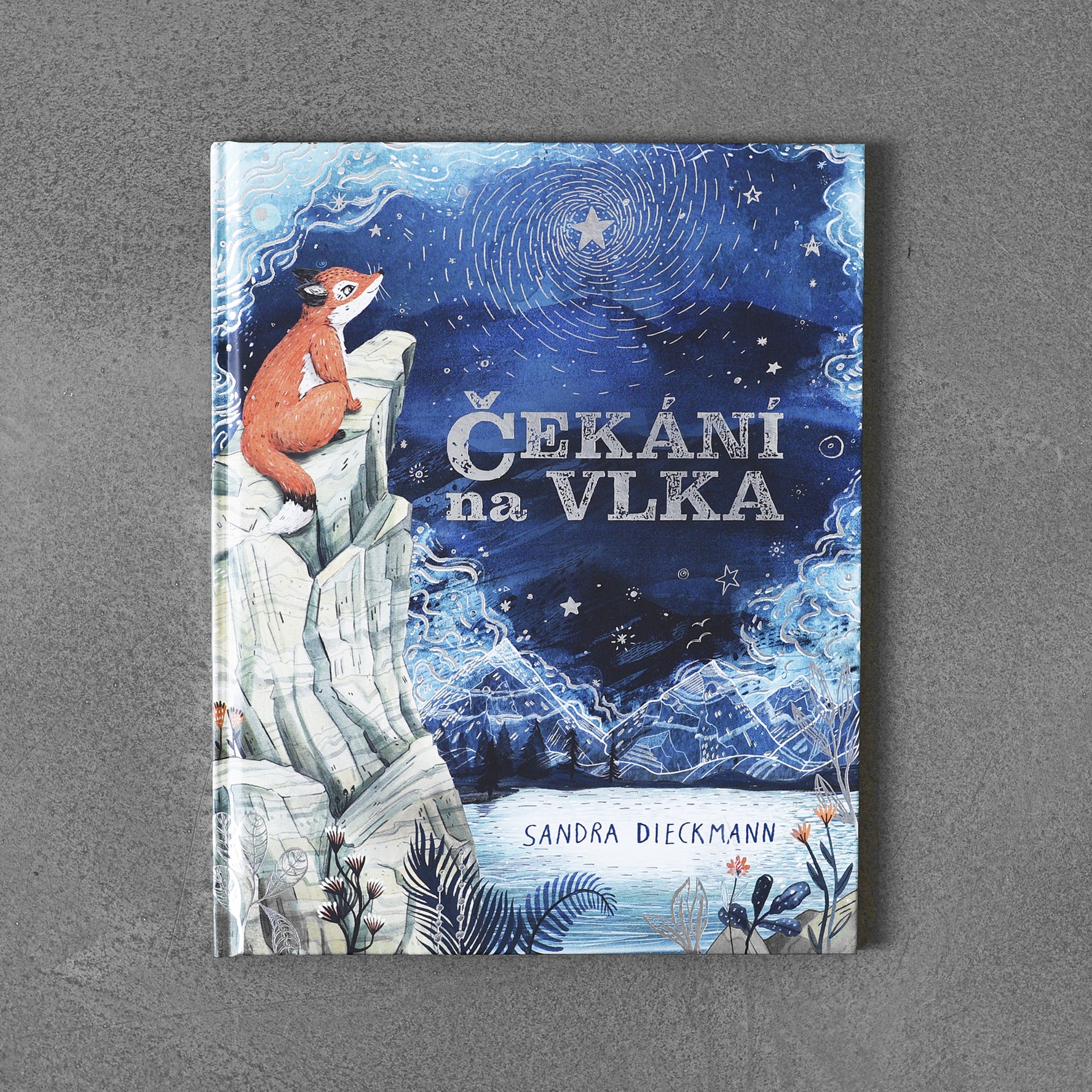 Čekání na vlka – Sandra Dieckmann