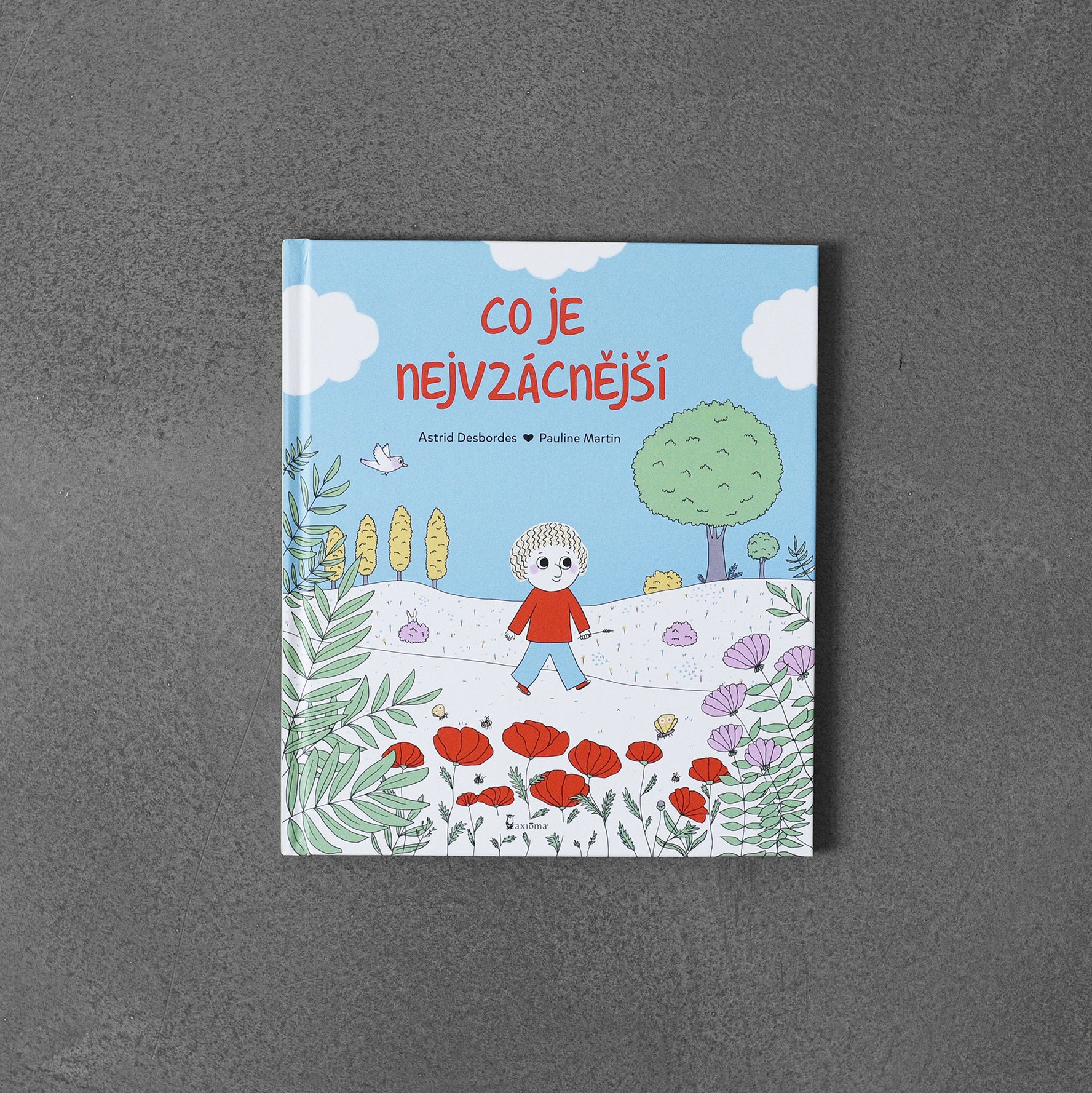 Co je nejvzácnější – Astrid Desbordes, Pauline Martin