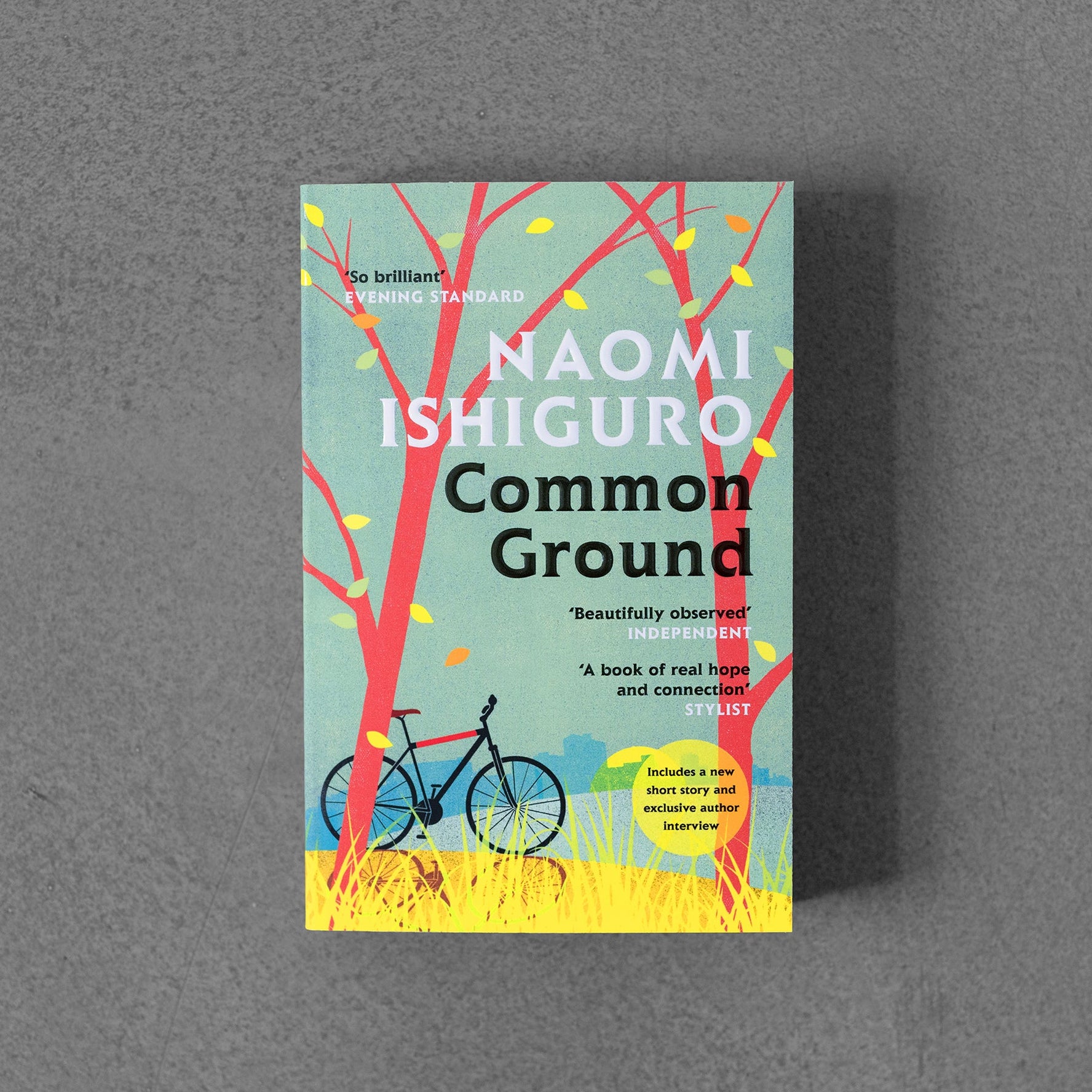 Common Ground – Naomi Ishiguro