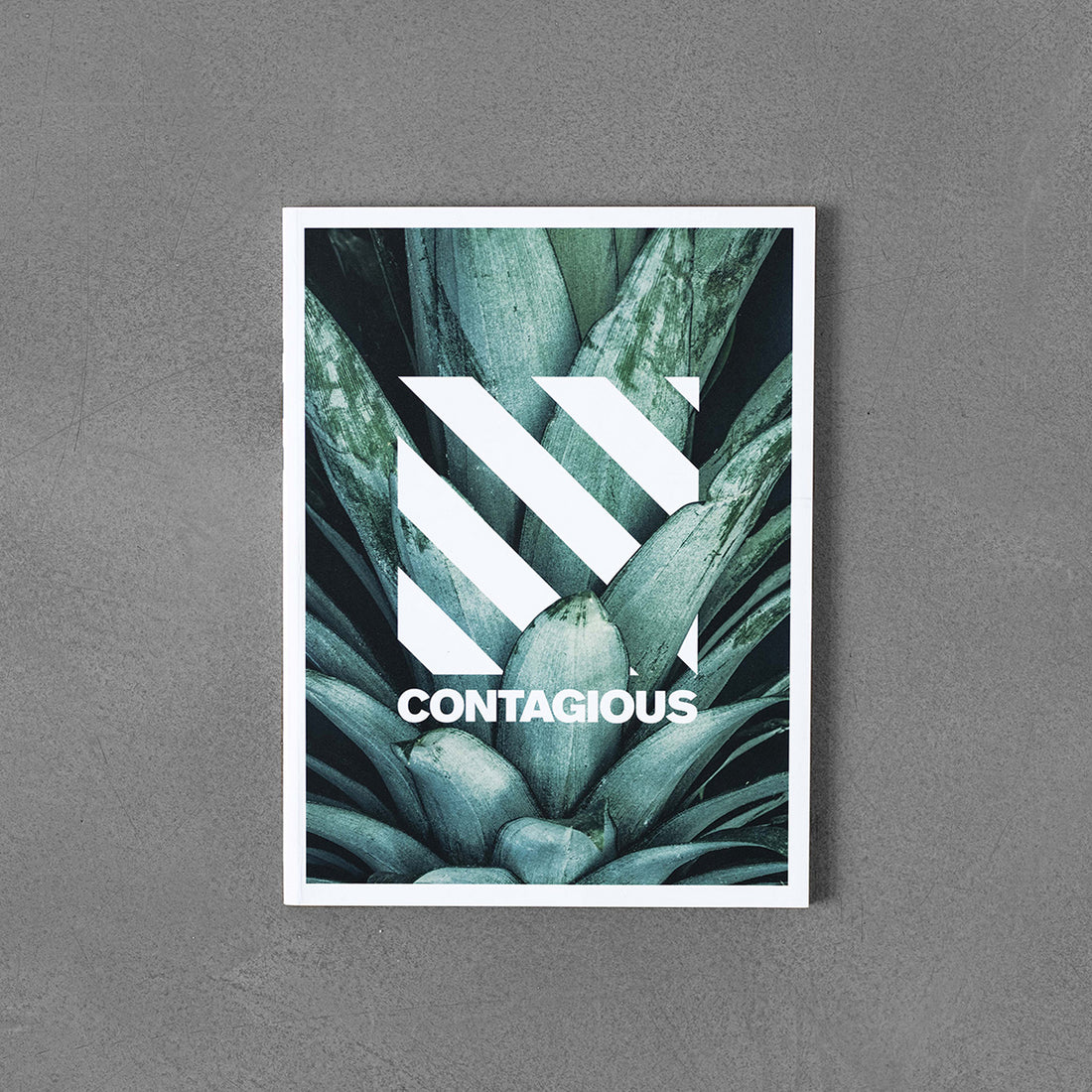 Contagious Latest Trends (Pack of 4)