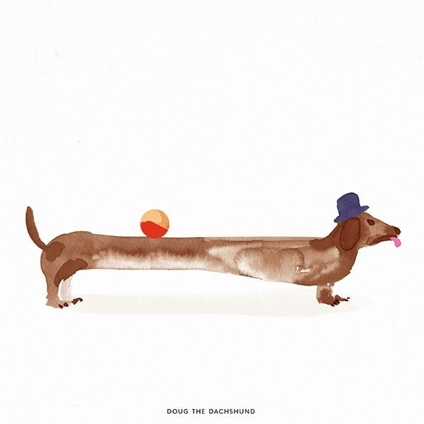Paper Collective - Doug the Dachshund