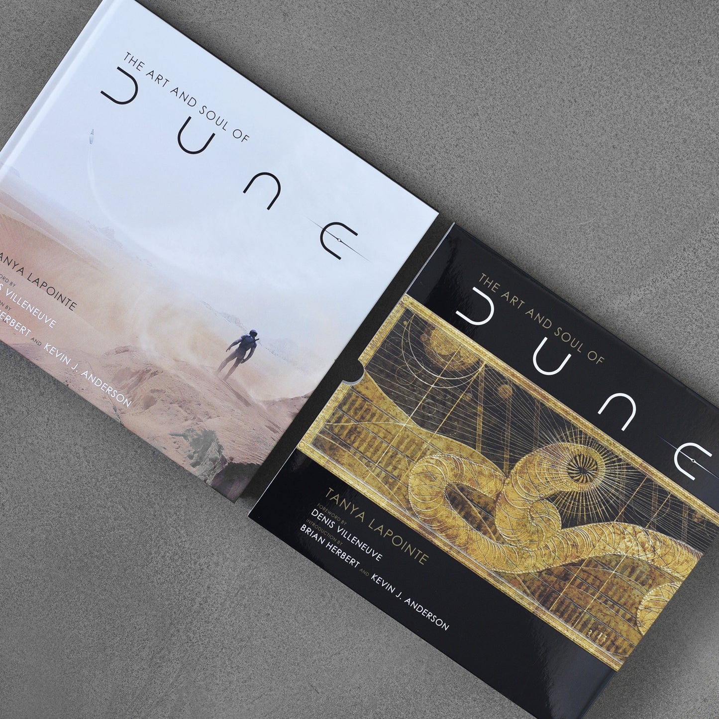 Art and Soul of Dune – Tanya Lapointe