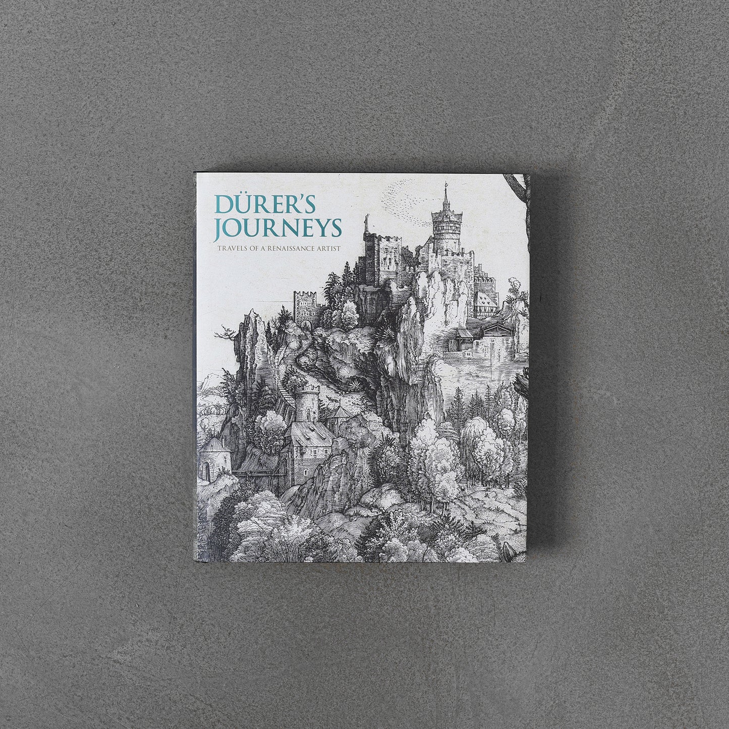 Durer"s Journeys : Travels of a Renaissance Artist