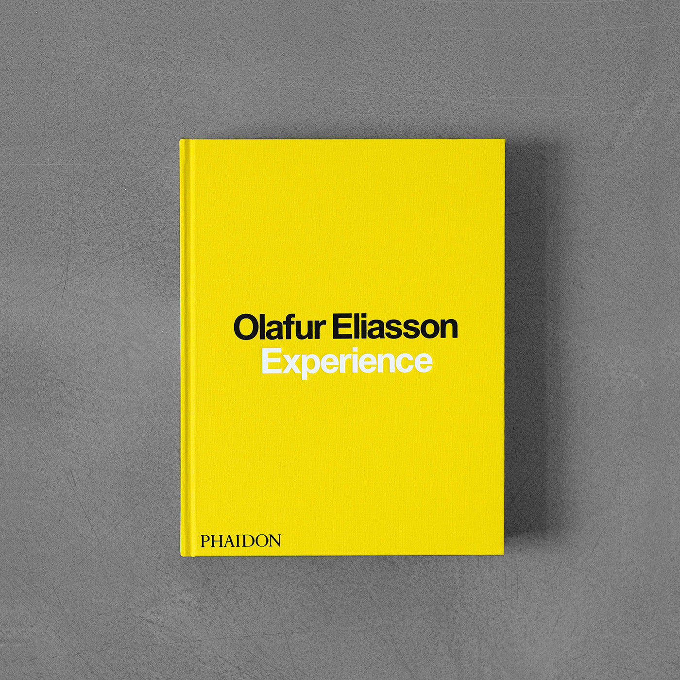 Olafur Eliasson: Experience