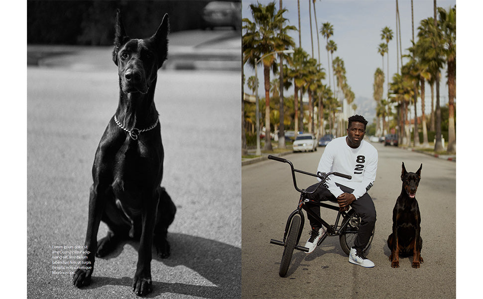 Nigel Sylvester: GO