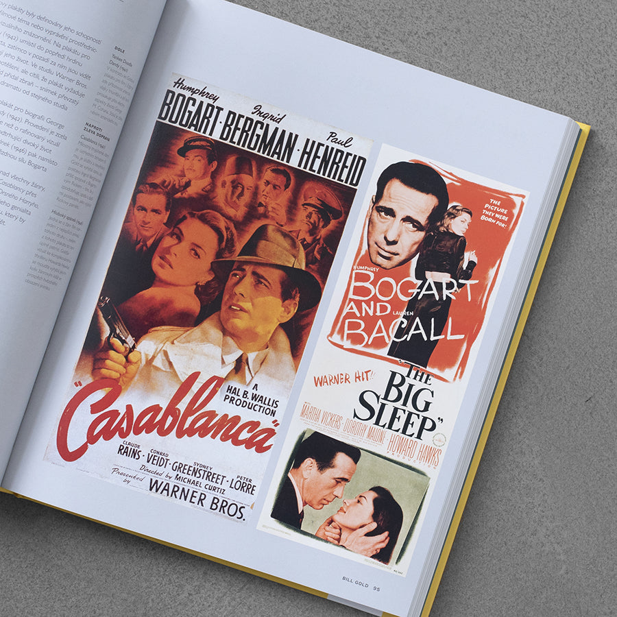 Filmové plakáty: Dějiny jednoho média