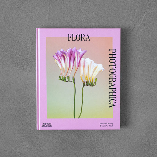 Flora Photographica: The Flower in Contemporary Photography