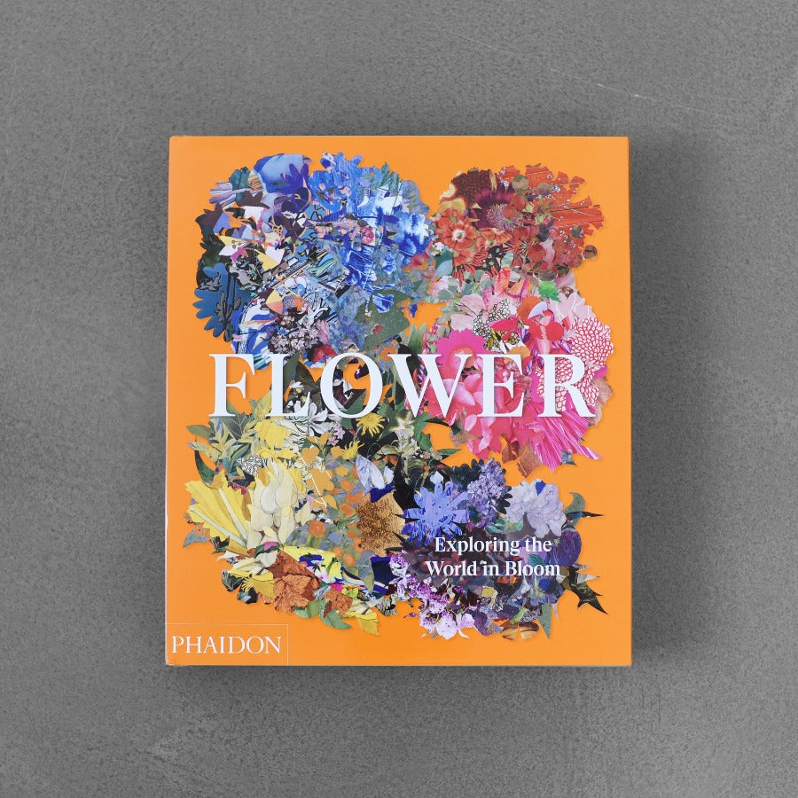 Flower - Exploring the World Bloom