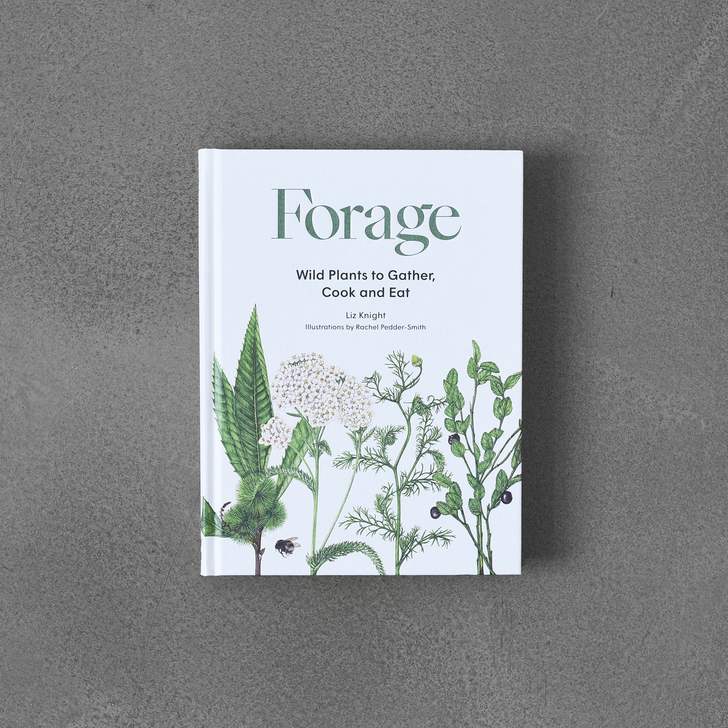 Forage : Wild plants to gather and eat, Liz Knight, il- Rachel Pedder-Smith HB