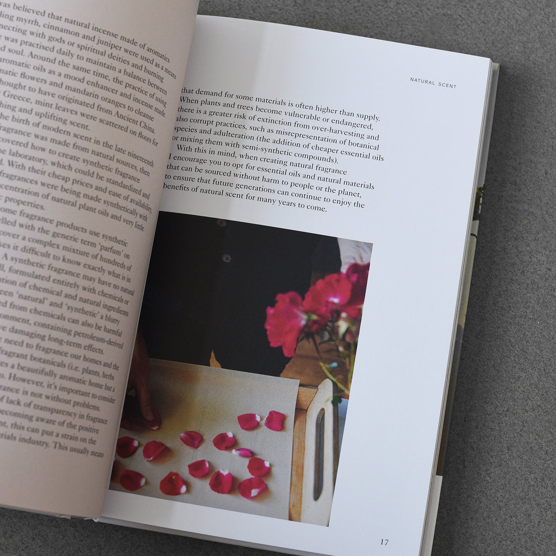 Fragrance Your Home : The Essential Guide