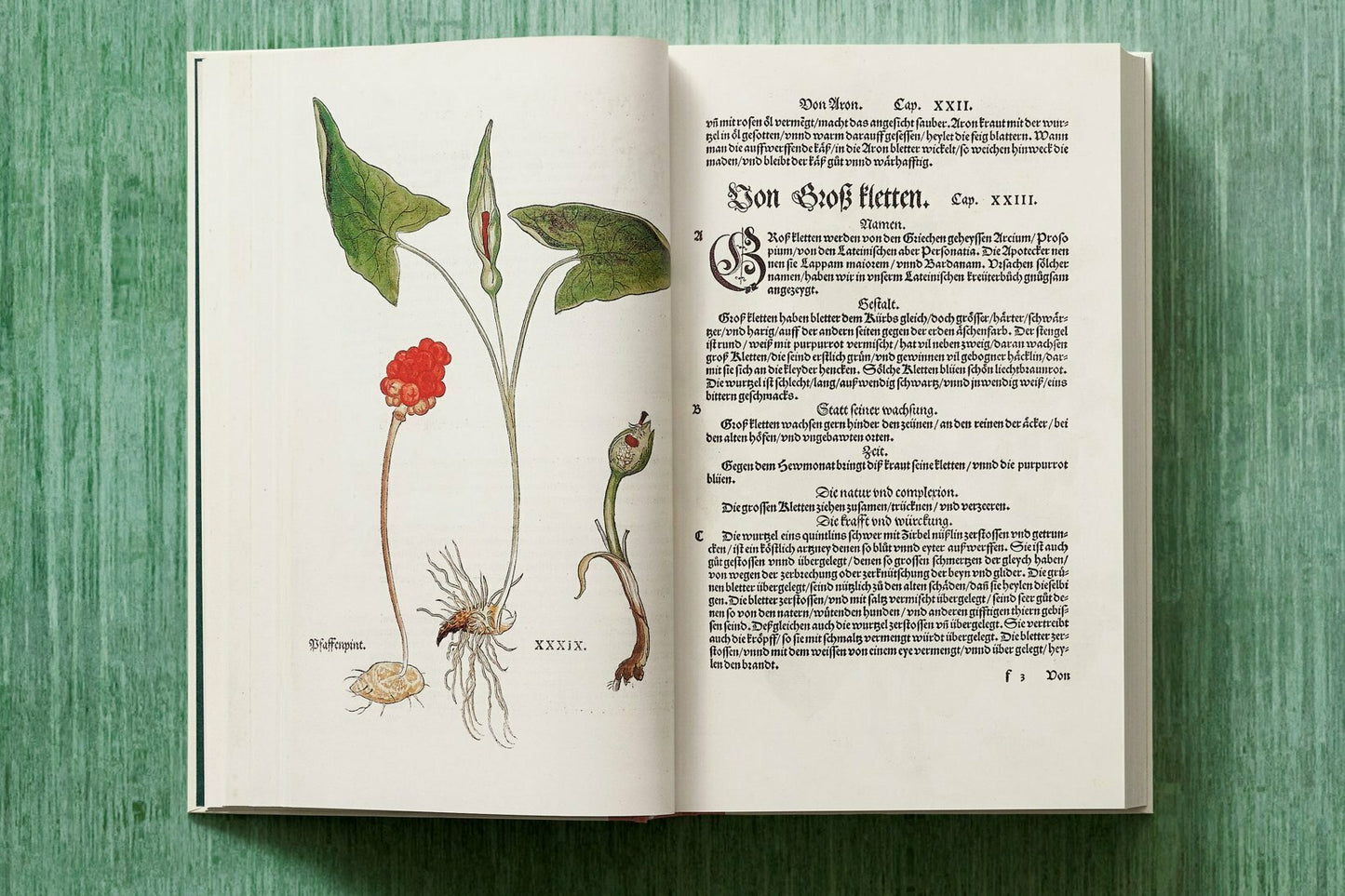 xl-Leonhart Fuchs. The New Herbal