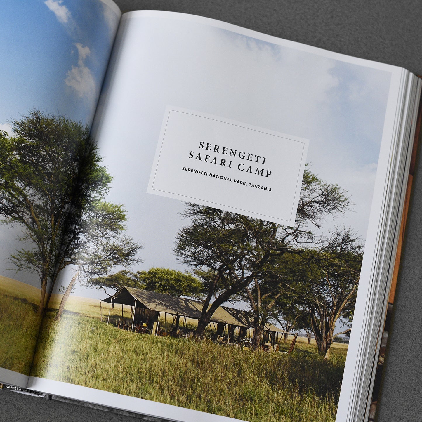 Great Escapes Africa: The Hotel Book