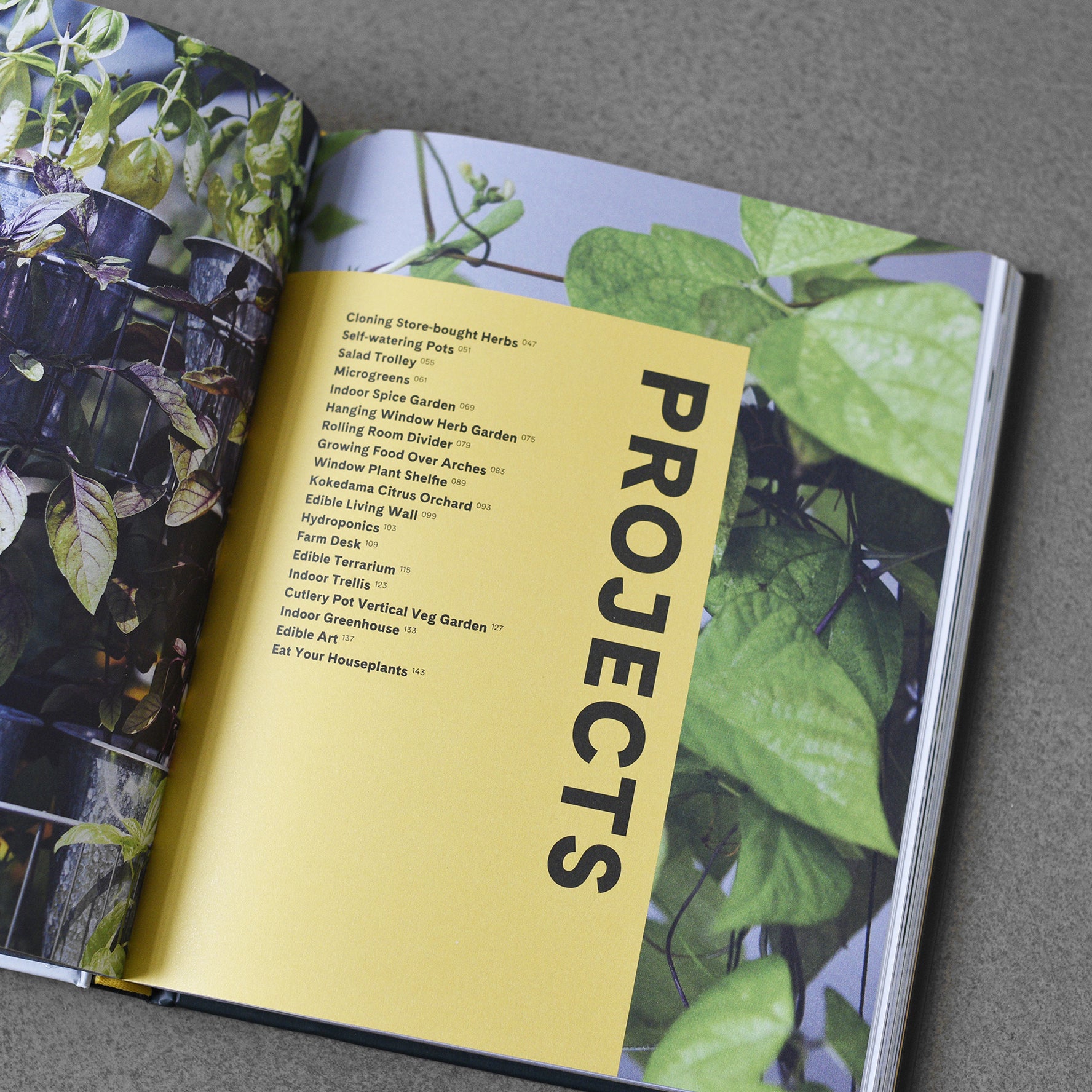 Get Up and Grow Herb, Vegetable and Fruit Growing Projects for Both Indoors and Outdoors, from She Grows Veg