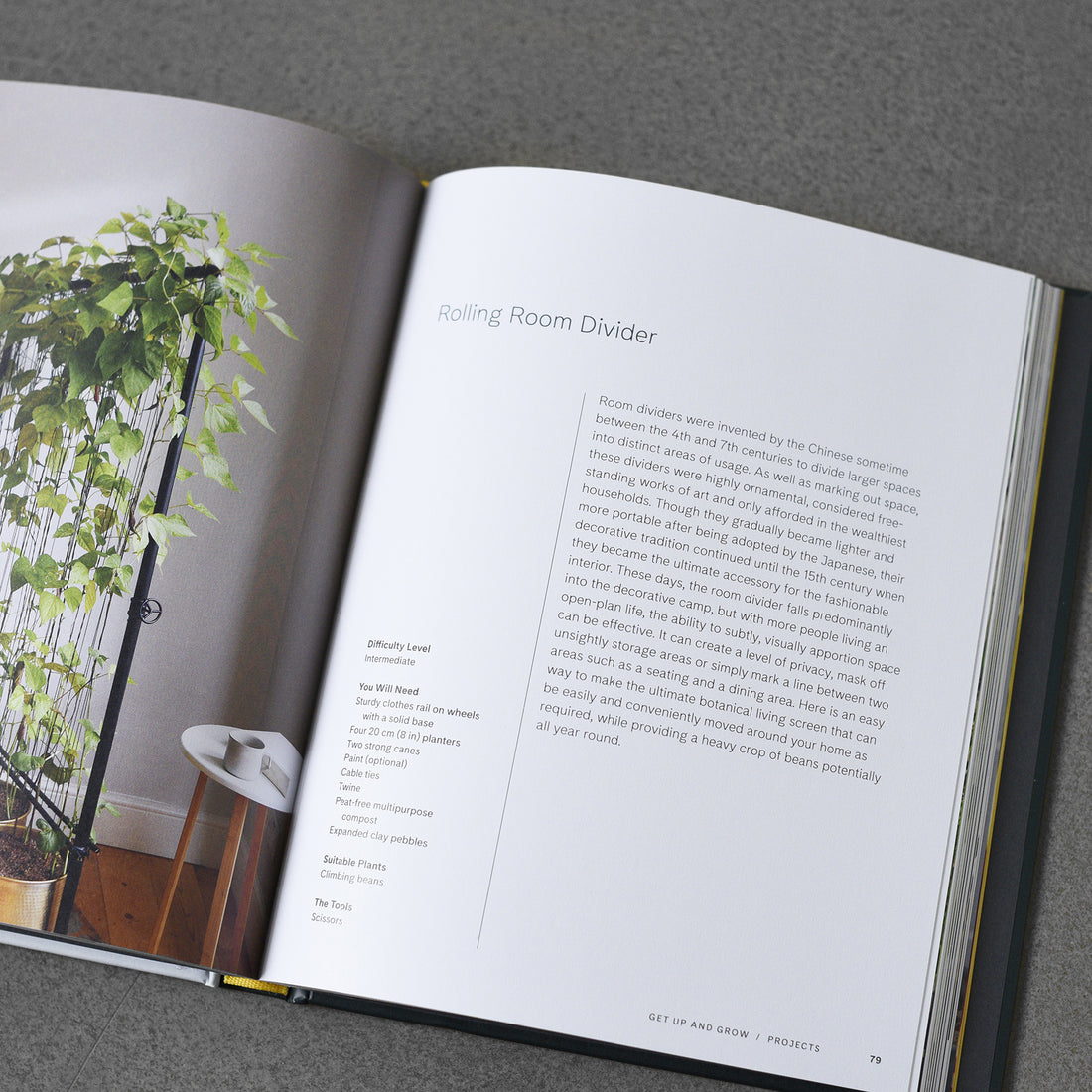 Get Up and Grow Herb, Vegetable and Fruit Growing Projects for Both Indoors and Outdoors, from She Grows Veg