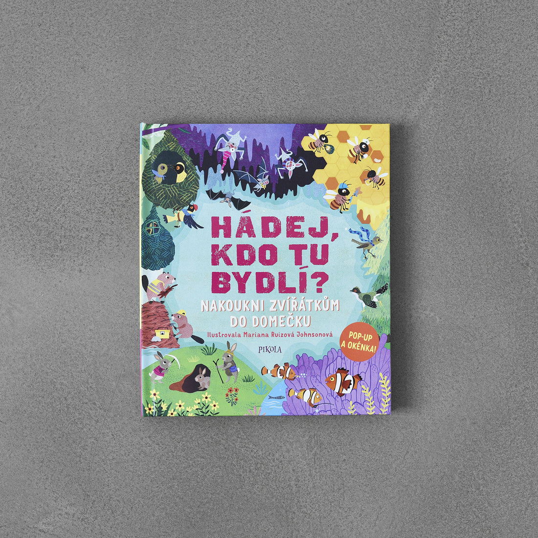Hádej, kdo tu bydlí?: Nakoukni zvířátkům do domečku