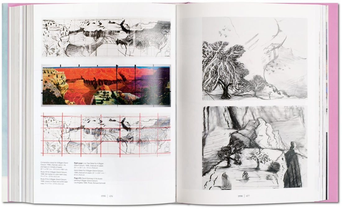 David Hockney - A Bigger Book, limited edition