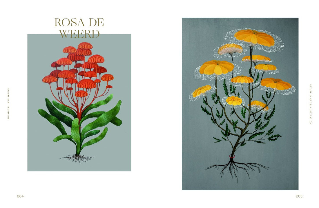Botanical Inspiration : Nature in Art and Illustration
