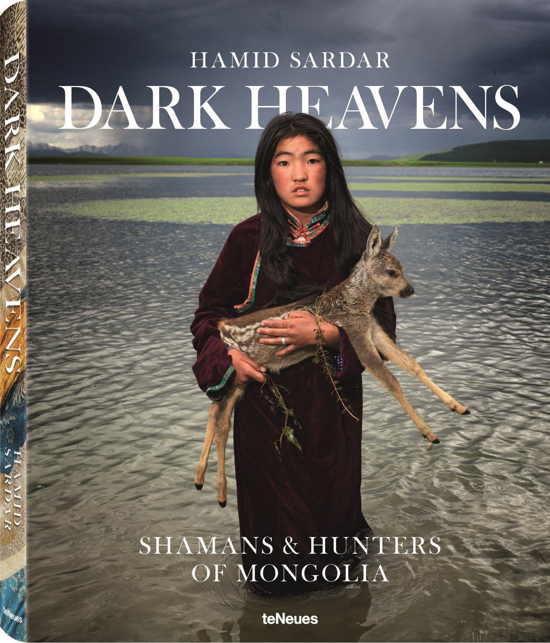 Dark Heavens by Hamid Sardar