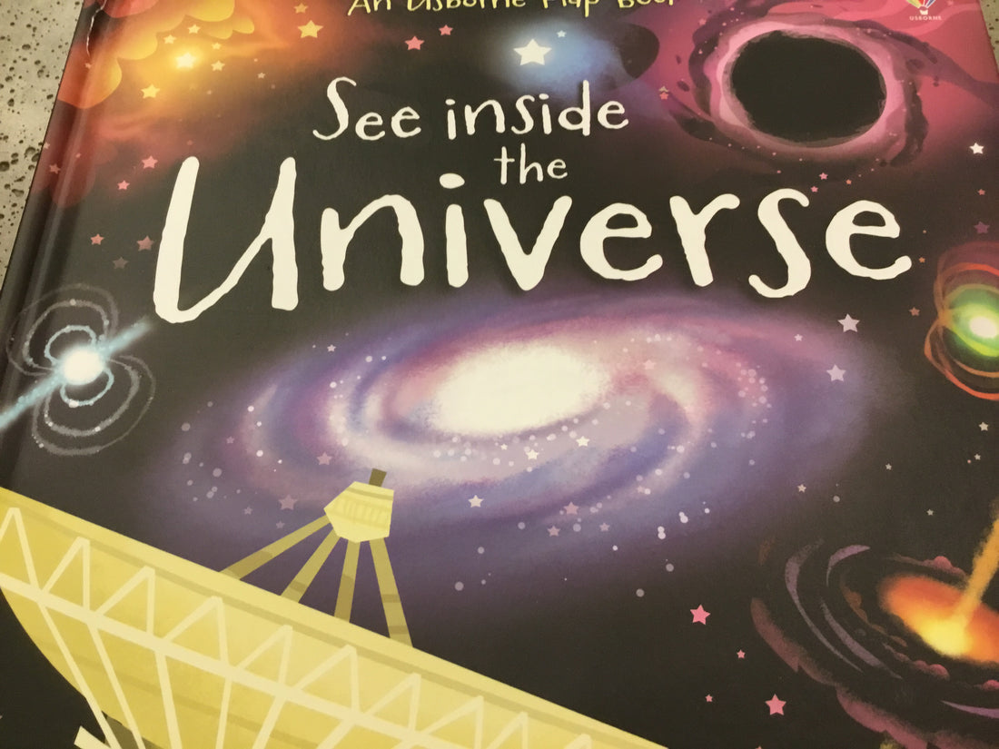Seen inside the Universe