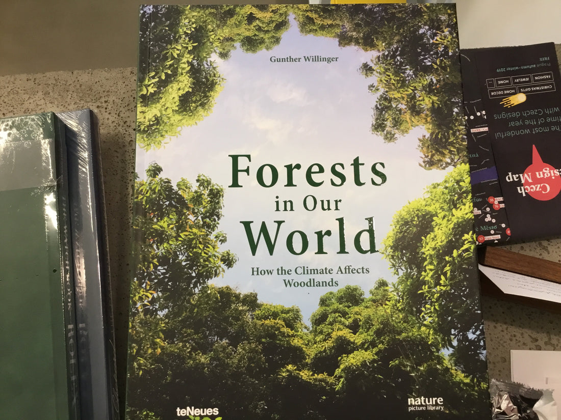 Forests in Our World