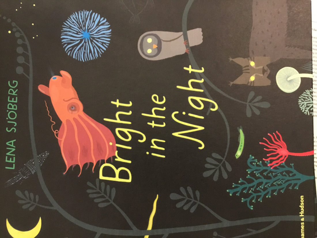 Bright in The Night, Lena Sjöberg