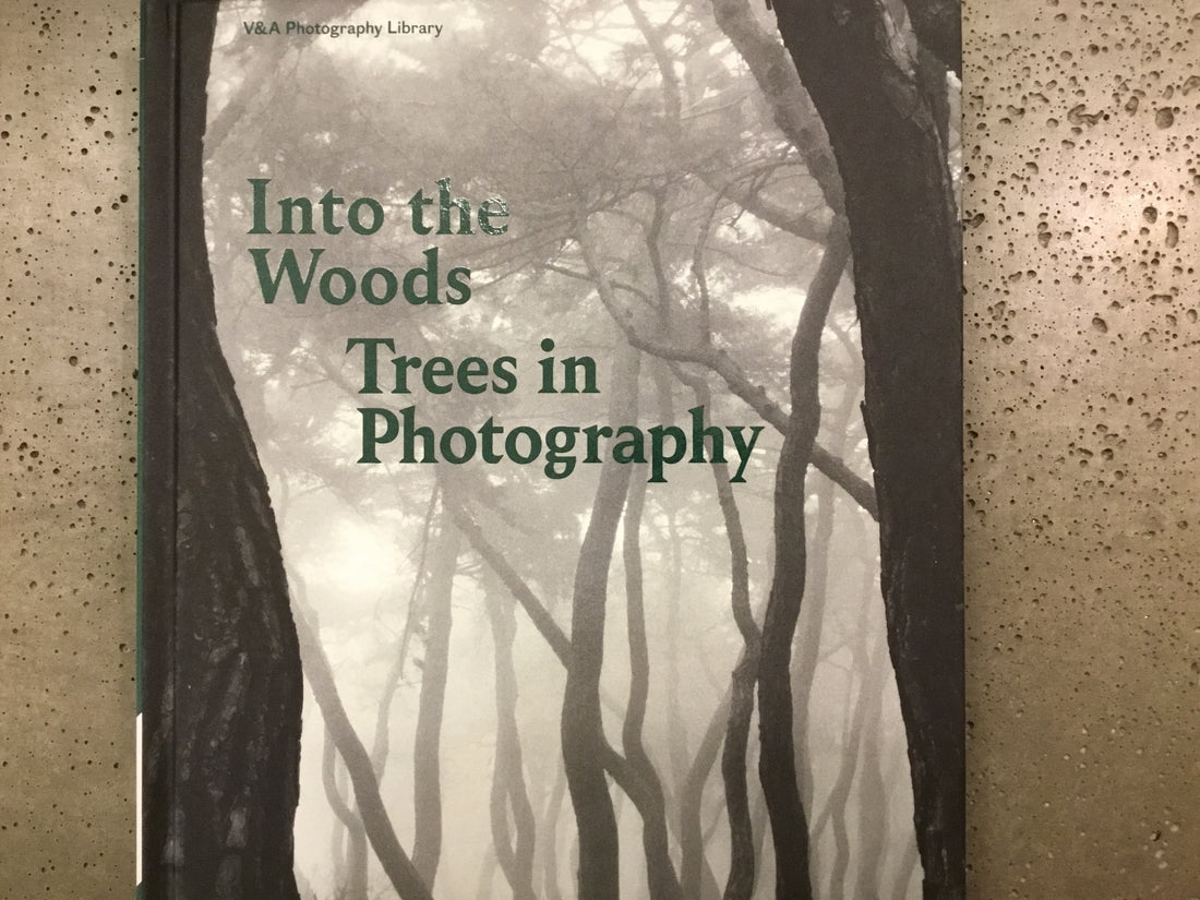 Into the Woods: Trees in Photography