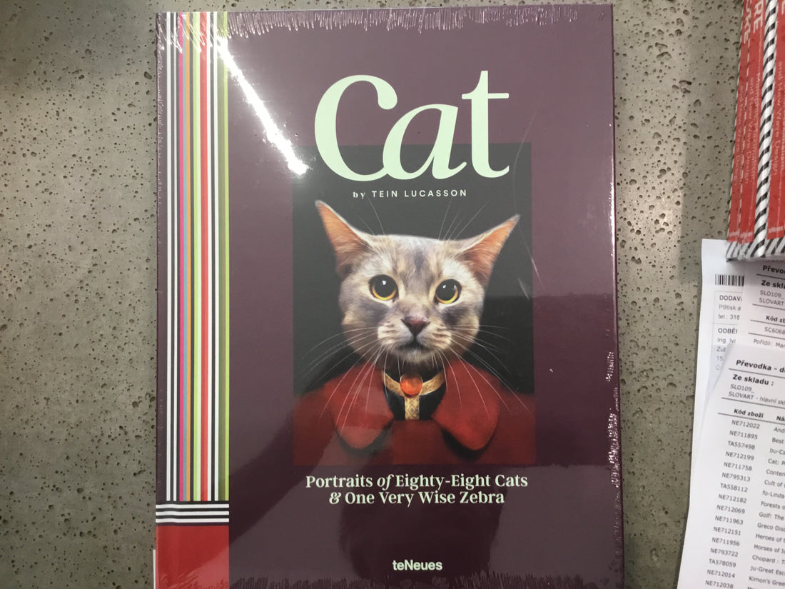 Cat by Tein Lucasson