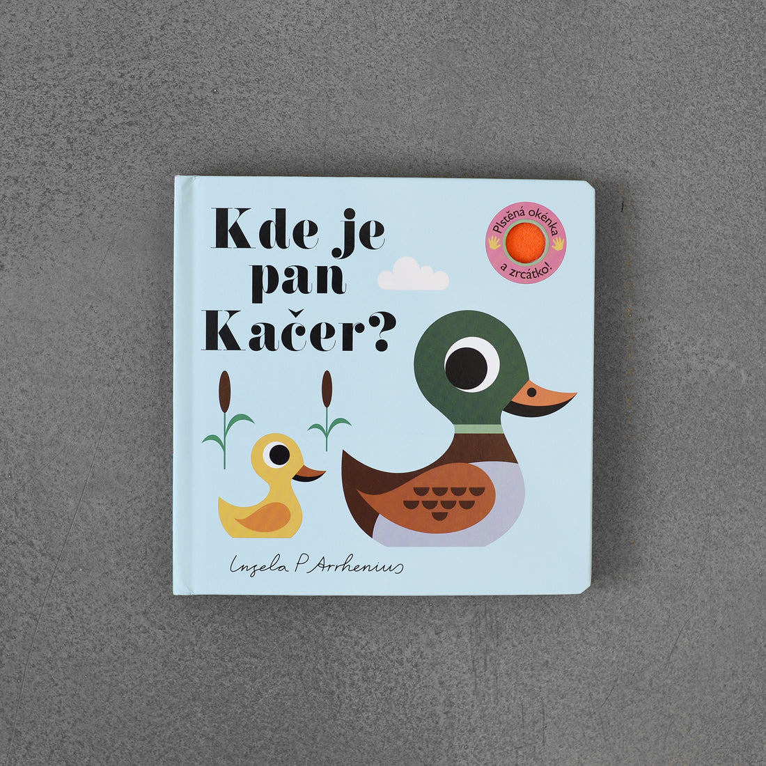 Kde je pan kačer?