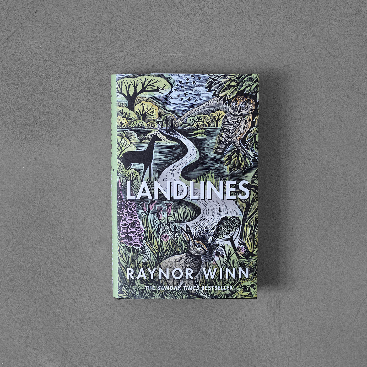 Landlines - Raynor Winn
