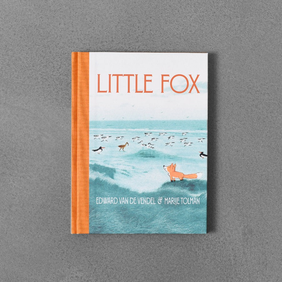 Little Fox