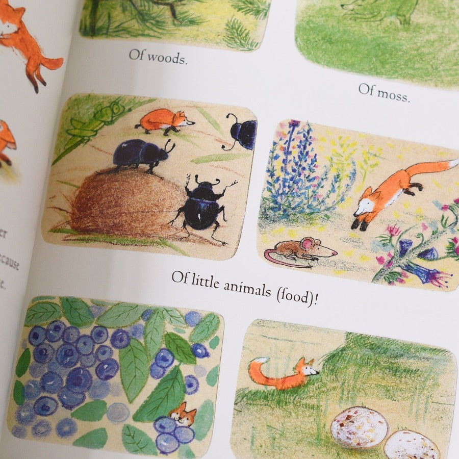 Little Fox