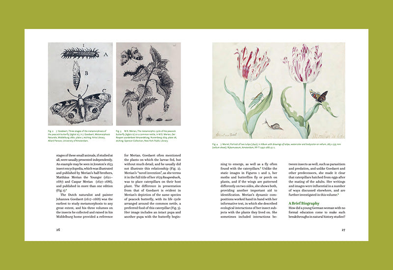 Maria Sibylla Merian. Changing the Nature of Art and Science