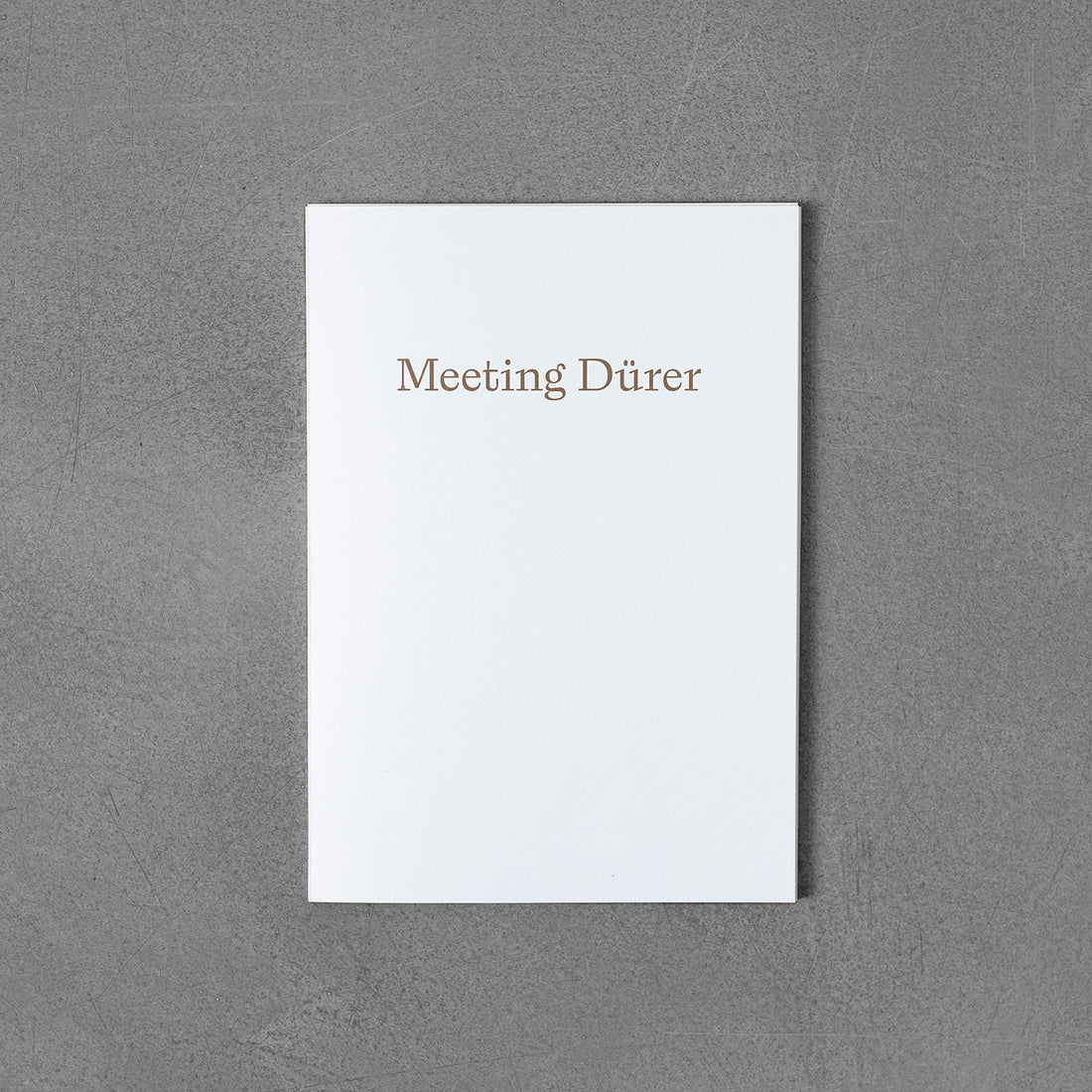 Meeting Dürer - Katarína Poliačiková