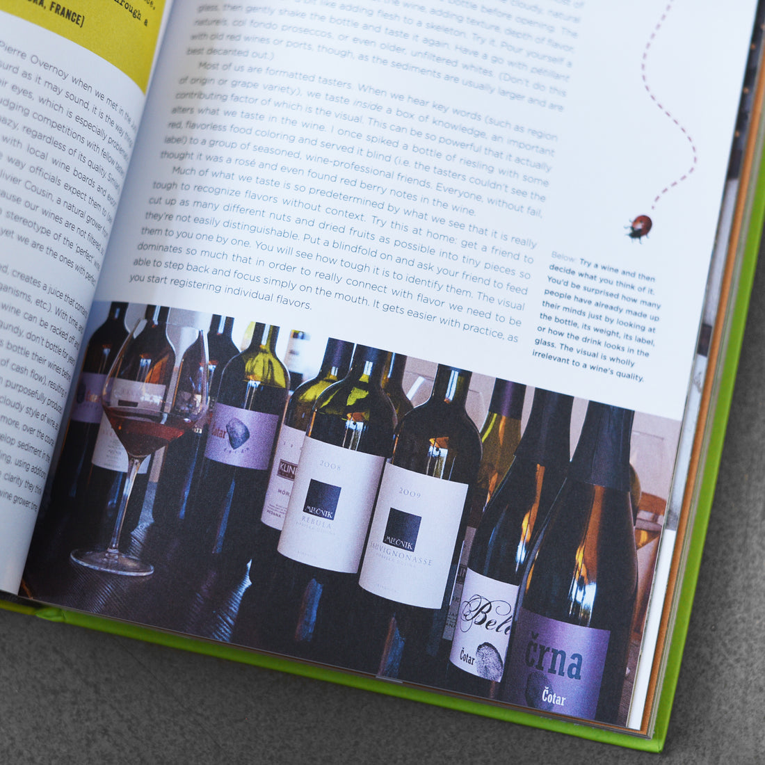 Natural Wine: An Introduction to organic and Biodynamic Wines Made Naturally