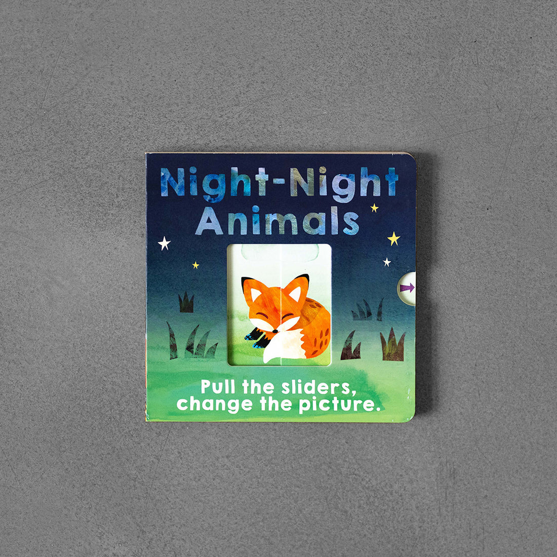 Night - Night Animals