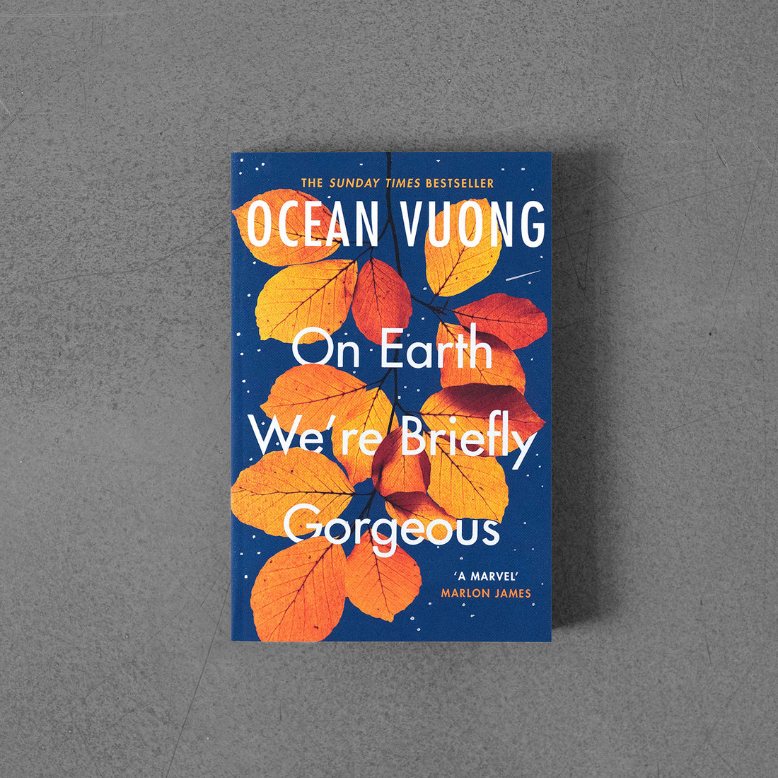 On Earth We're Briefly Gorgeous - Ocean Vuong