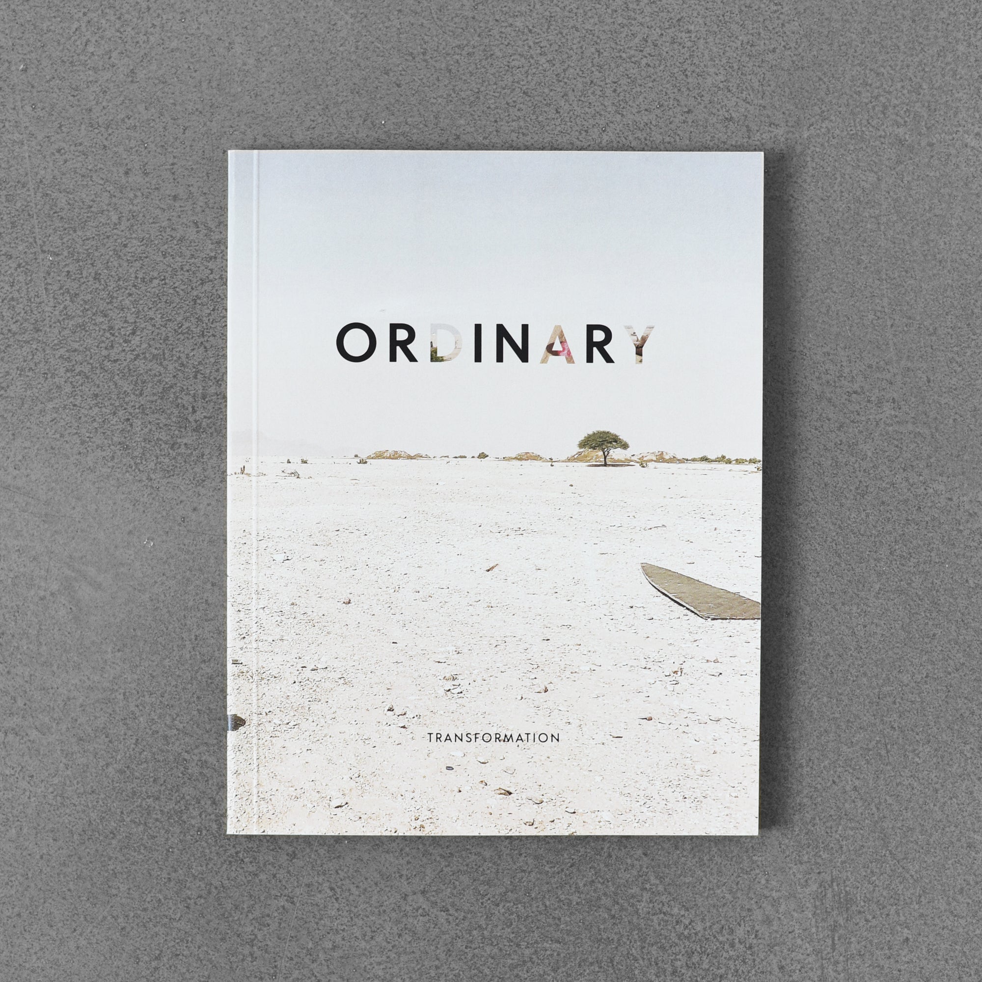 Ordinary mag vol 2 x Transformation