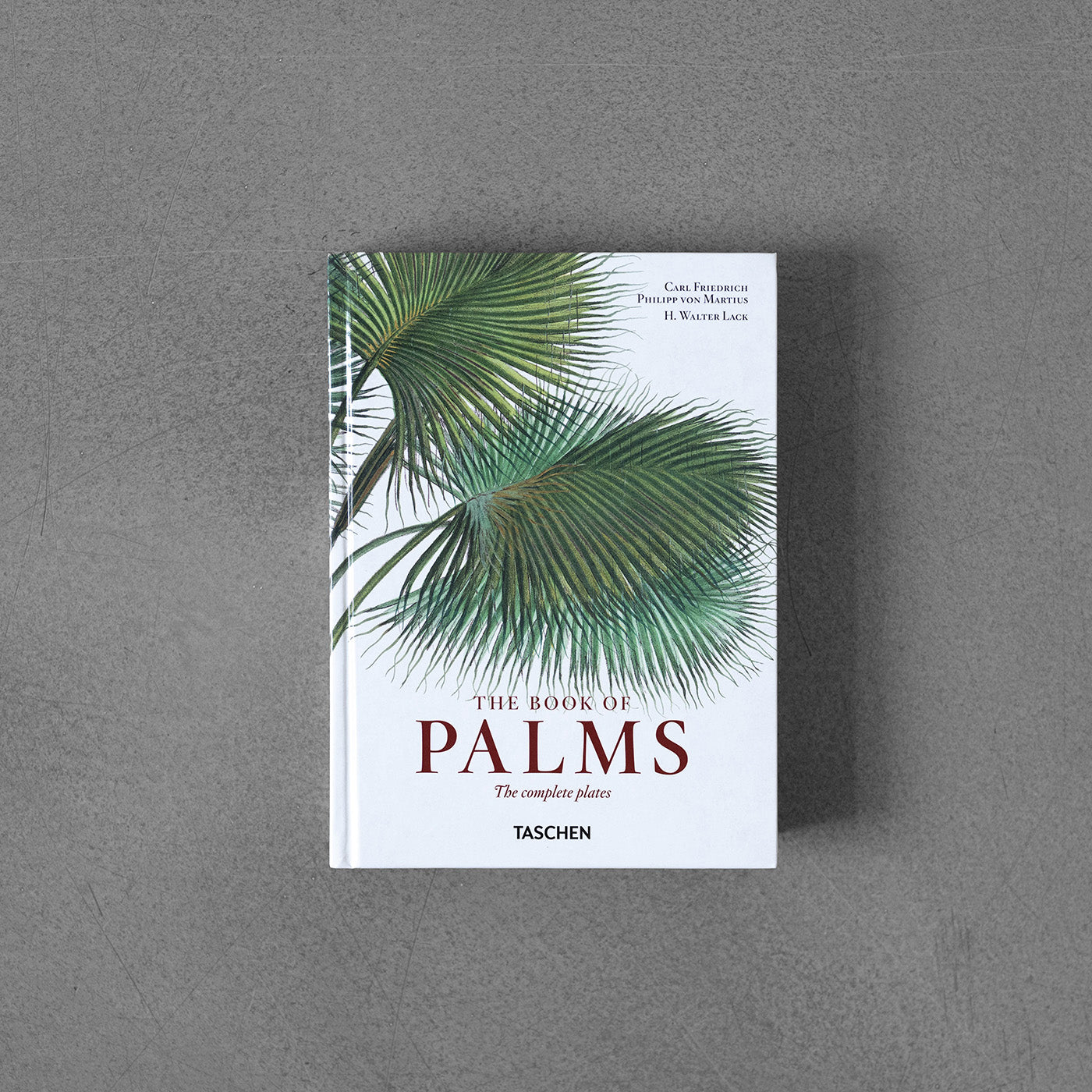 40 Martius: The Book of Palms