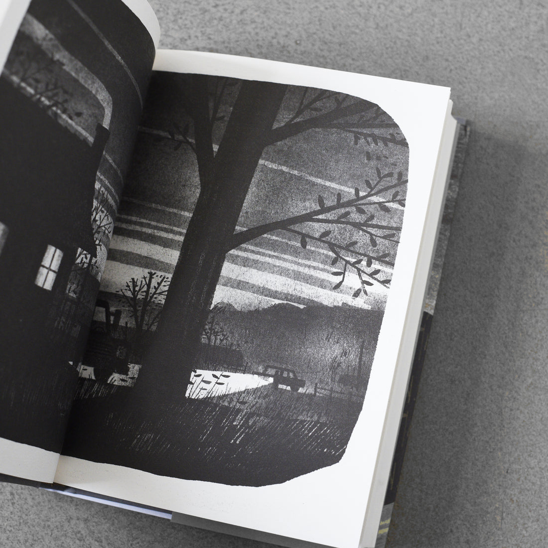 Pax : Journey Home – Sara Pennypacker , Illustrated by Jon Klassen HB