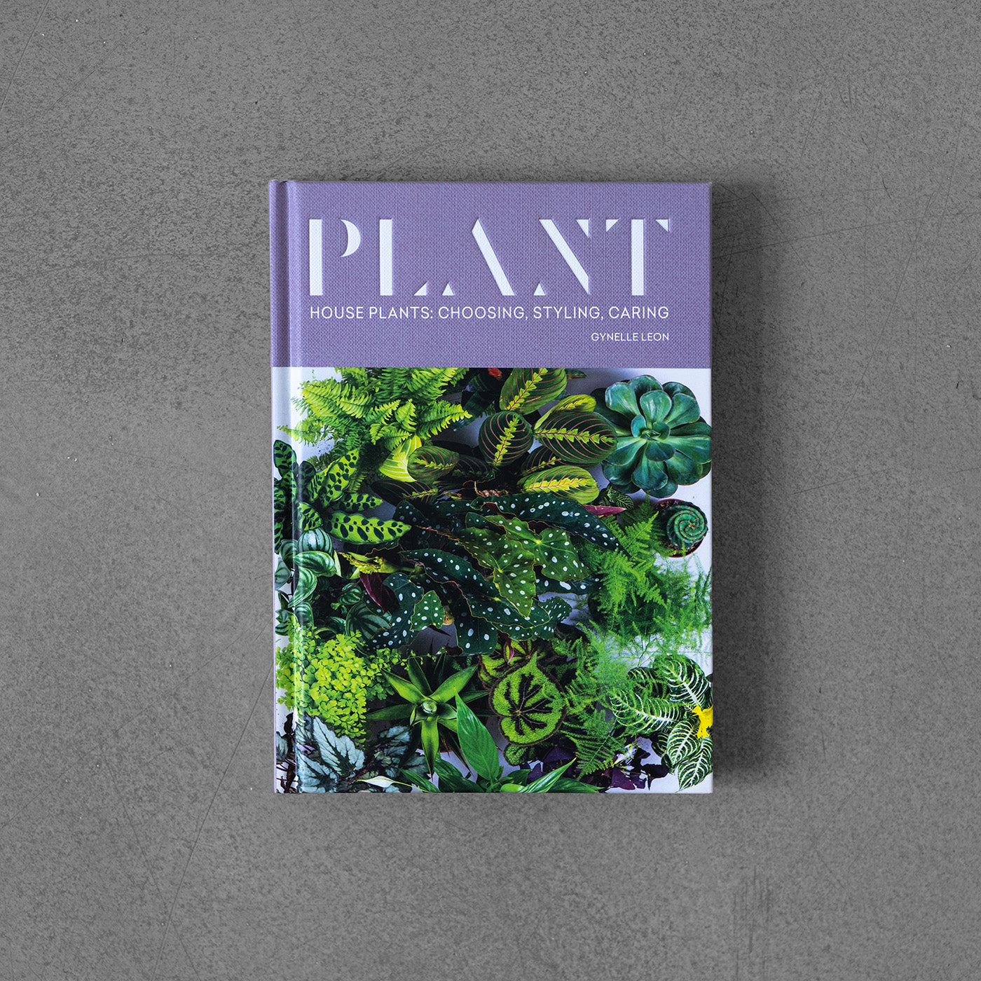 Plant, House plants, choosing, styling, caring HB